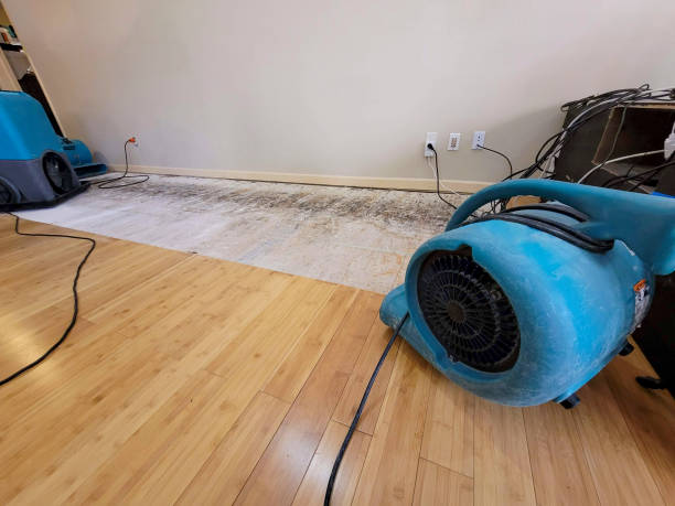 Professional Flood Damage Cleanup technician working in Athens, OH